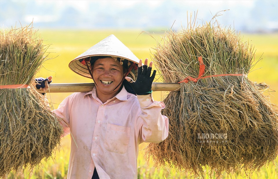 Niềm vui của người nông dân khi gặt hái những thành quả trong lao động.