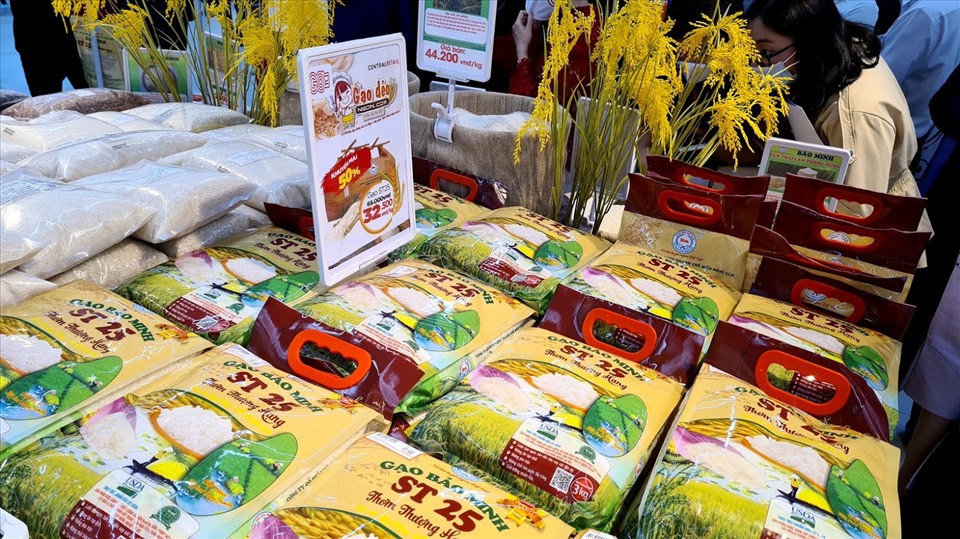 Việt Nam đảm bảo nguồn cung lúa gạo để tiêu dùng và xuất khẩu. Ảnh: Vũ Long