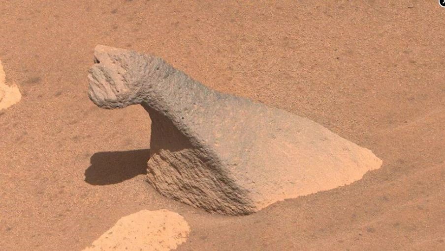 Tảng đá sao Hỏa được liên tưởng là khủng long hóa thạch. Ảnh: NASA.