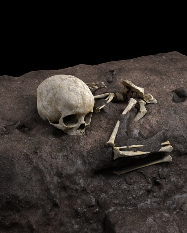 Bộ xương Mtoto được giới khảo cổ phát hiện năm 2013 nhưng mất nhiều năm để khai quật được do quá mỏng manh. Ảnh:
