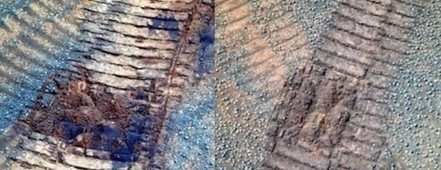 Hình ảnh vết bánh xe của một xe tự hành trên sao Hỏa cùng với các mẫu vật hình cầu được cho là nấm. Ảnh: NASA