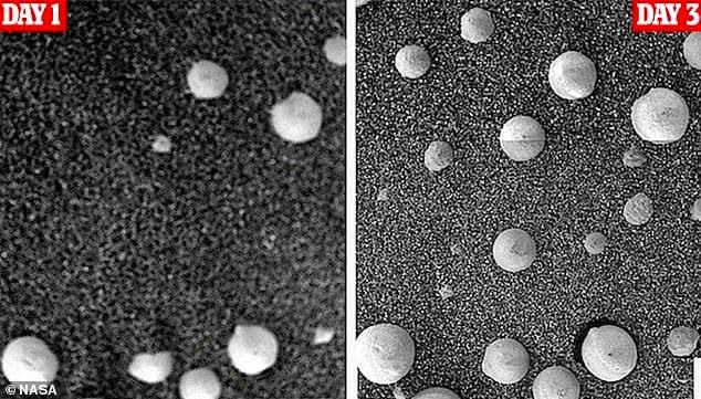 Hai hình ảnh được chụp cách nhau ba ngày, các nhà nghiên cứu lập luận rằng đây là những cây nấm, với sự phát triển nhiều hơn vào ngày thứ ba. Ảnh: NASA