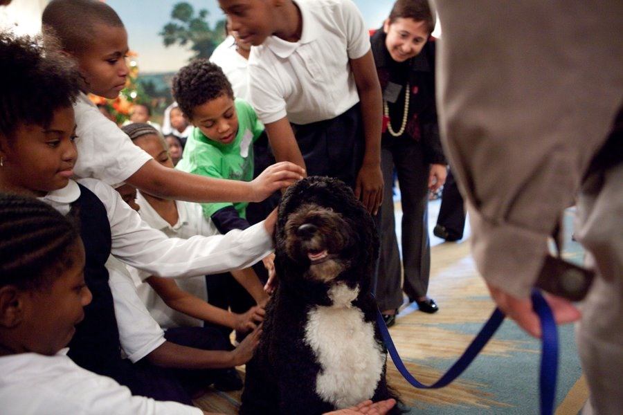 Chú chó Bo của cựu Tổng thống Barack Obama được trẻ em yêu quý. Ảnh: Twitter/Barack Obama