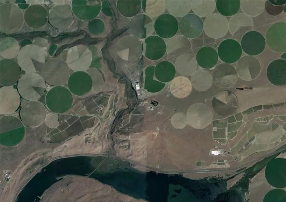 Trang trại 100 Circles ở tiểu bang Washington, Mỹ. Ảnh: Google Maps