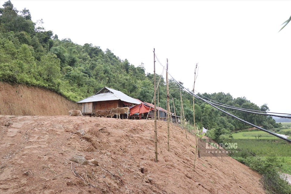 Người chủ của 1 trong những ngôi nhà này cho biết, họ mới di dời từ Bản Bua, xã Pá Khoang về đây từ tháng 9.2020.