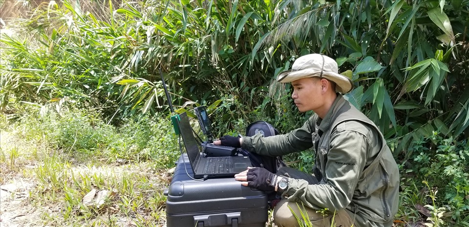 Thành viên của Save Viet Nam' Wildlife sử dụng thiết bị hiện đại hàng đầu Việt Nam trong giám sát tê tê sau tái thả. Ảnh: SVW