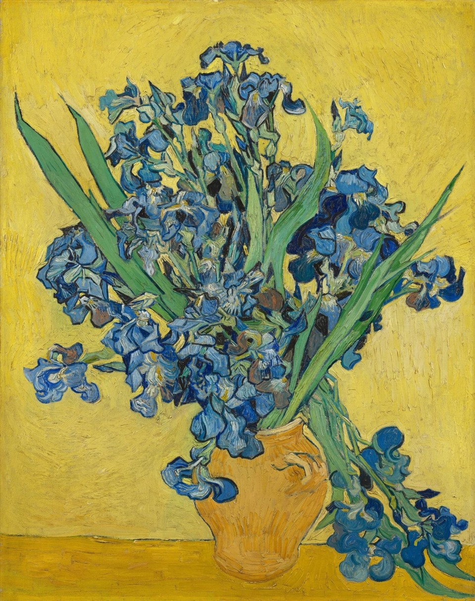 Hoa diên vĩ (Irises), tháng 5 năm 1890, sơn dầu trên toan, 361⁄8 × 287⁄8 in. [92 × 73 cm]. Ảnh: Omega Plus cung cấp
