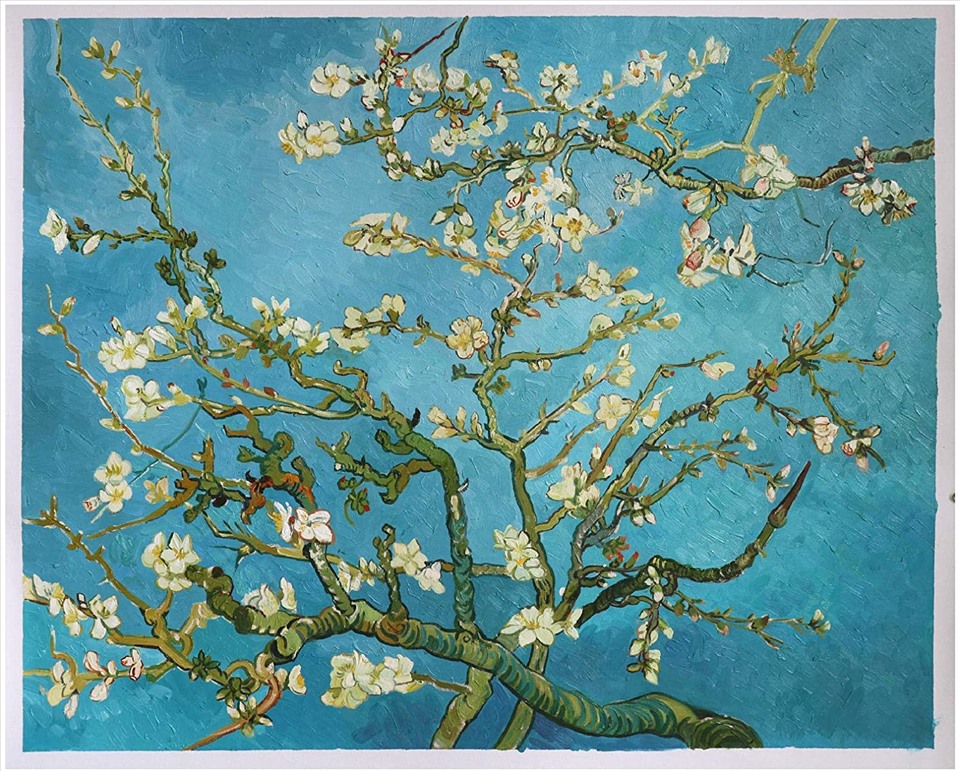 Hoa hạnh đào (Almond Blossom), tháng 2 năm 1890, sơn dầu trên toan, 287⁄8 × 361⁄8 in. [73 × 92 cm]. Ảnh: Omega Plus cung cấp