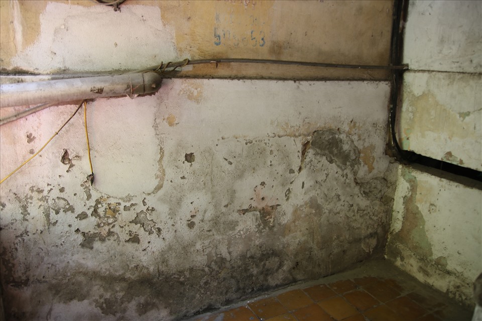 Cầu thang, tường nhà bị bong tróc, bên ngoài rêu phong bám phủ.