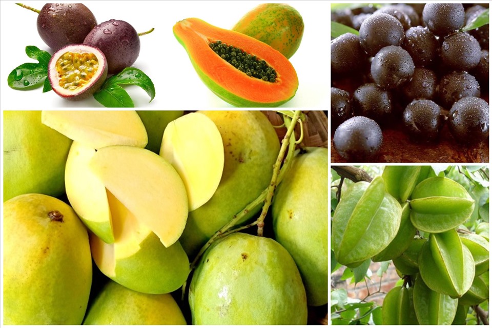 Những loại trái cây nhiệt đới chứa rất nhiều vitamin, khoáng chất cùng các chất dinh dưỡng khác giúp chống lại bệnh tật và tăng cường sức khỏe của bạn.