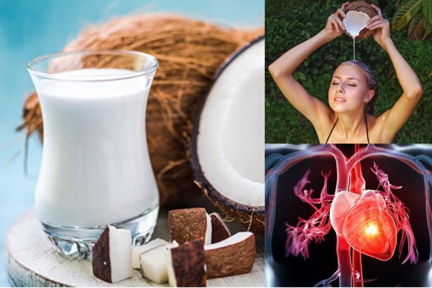 Sữa dừa có đầy đủ các chất dinh dưỡng quan trọng như mangan và đồng. Dùng một lượng vừa phải trong chế độ ăn uống để tăng cường sức khỏe tim mạch và cũng cung cấp các lợi ích khác.