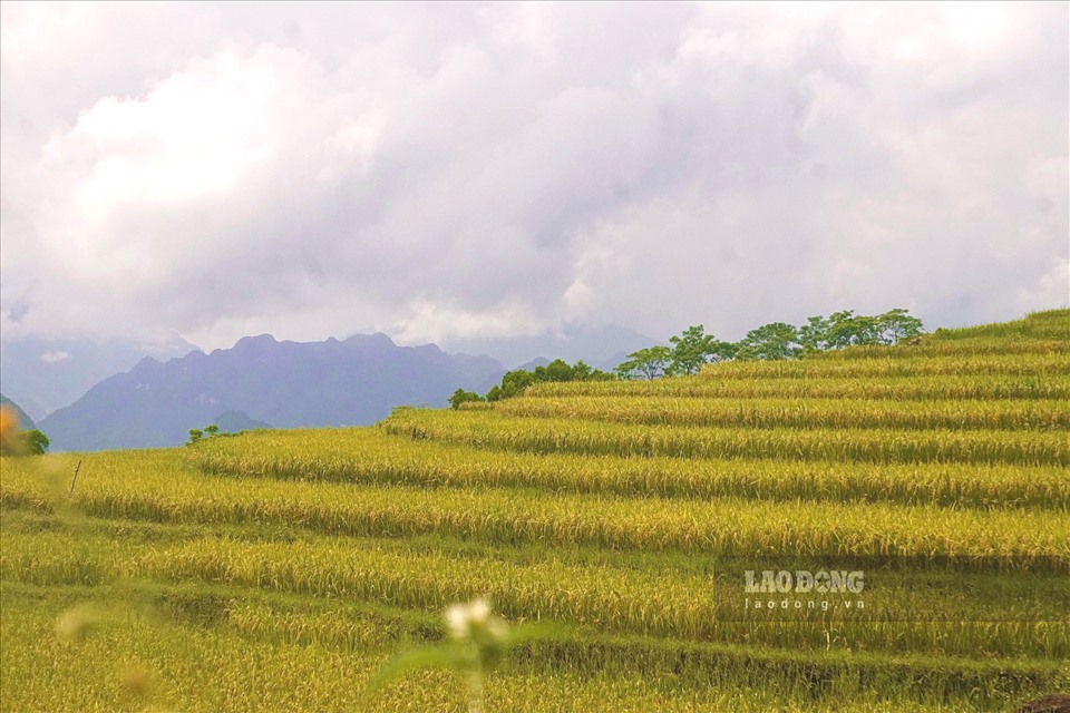 Những thửa ruộng bậc thang tầng tầng, lớp lớp