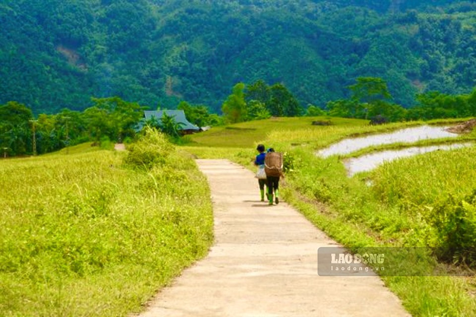 Đến với Pù Luông những ngày này, du khách không chỉ đắm minh vào phong cảnh thiên nhiên đẹp tuyệt đẹp, mà còn được trải nghiệm cùng bà con thu hoạch lúa ở những thửa ruộng bậc thang.