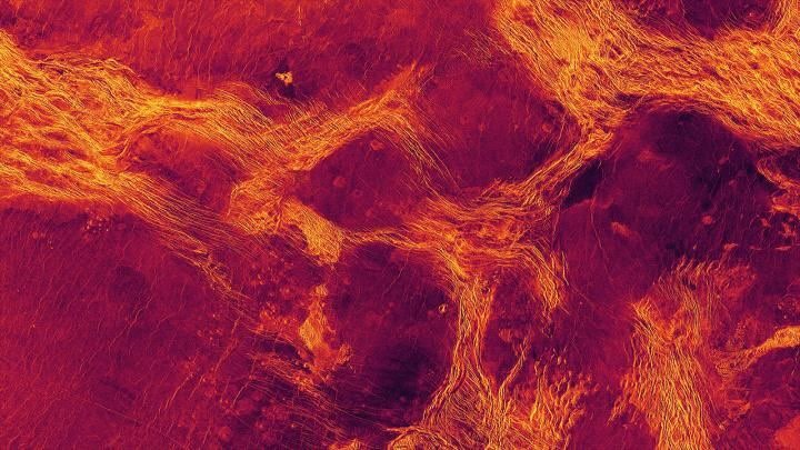 Hình ảnh một vùng đất thấp trên sao Kim có tên là Lavinia Planitia. Màu sắc cho thấy nơi lớp vỏ của sao Kim, hay thạch quyển, được chia thành các cấu trúc giống như các mảng kiến ​​tạo của Trái đất. Các vùng màu tím là các khối, và các vạch chia của chúng có màu vàng.
