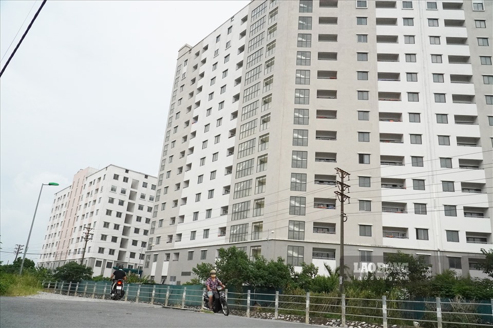 Trong khi rất nhiều người không mua nổi nhà tại Hà Nội, thì tại quận Hoàng Mai, nhiều toà chung cư lại đang trong tình trạng bỏ hoang, đắp chiếu nhiều năm nay.