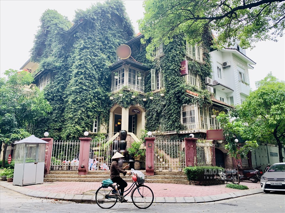 Toạ lạc tại một ngã ba trong khu đô thị Trung Yên (quận Cầu Giấy, Hà Nội), căn biệt thự 3 tầng bao trùm bởi lớp dây leo xanh không khác gì một vườn sinh thái thu nhỏ.