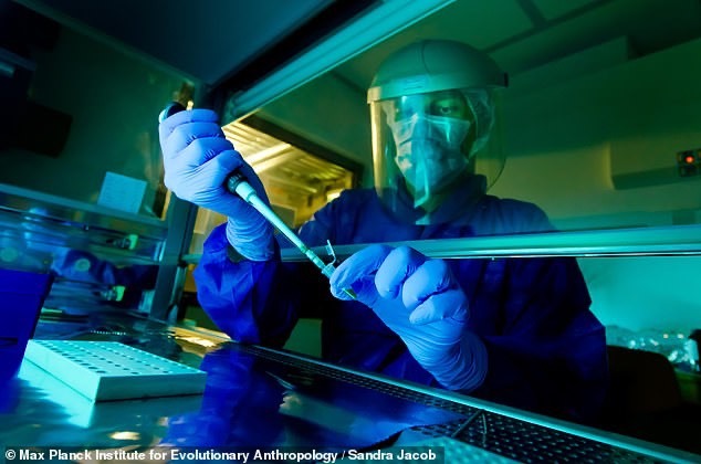Nhà di truyền học Matthias Meyer phân tích một mẫu DNA trong phòng thí nghiệm.