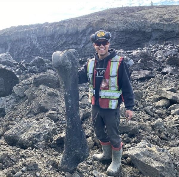 Một trong những người thợ đào vàng phát hiện ra xương voi ma mút ở mỏ Little Flake. Ảnh: Khảo cổ học Yukon