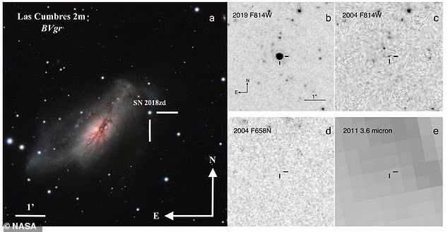 Nhóm nghiên cứu nhận thấy siêu tân tinh SN 2018zd có nhiều đặc điểm khác thường, một số đặc điểm lần đầu tiên được nhìn thấy ở một siêu tân tinh. Ảnh: NASA