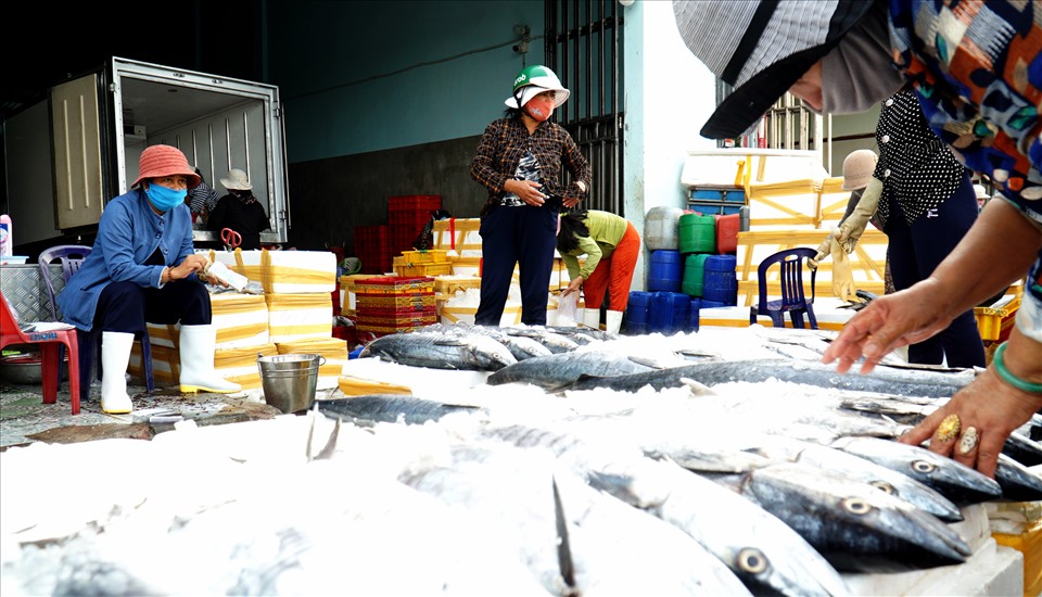 Cảng cá Đông Hải là cảng cá lớn nhất tỉnh Ninh Thuận. Hàng ngày, cảng tiếp nhận hơn 50 tàu thuyền trong và ngoài tỉnh vào mua bán hải sản. Hải sản ở đây sẽ được đưa đi phân phối thị trường trong tỉnh, Tây Nguyên và Nam Bộ.