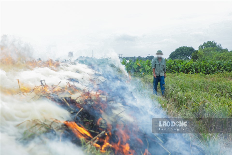 Người dân đốt rơm rạ trên cánh đồng thuộc huyện Thanh Trì, Hà Nội. Ghi nhận vào ngày 4.6.2021. Ảnh: Tô Thế