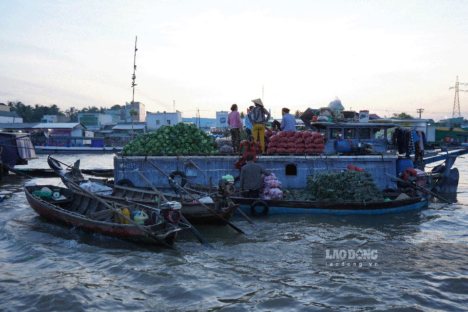 Thành phố Cần Thơ quyết định tạm ngưng hai hoạt động văn hóa cho đến khi dịch bệnh được kiểm soát tốt.