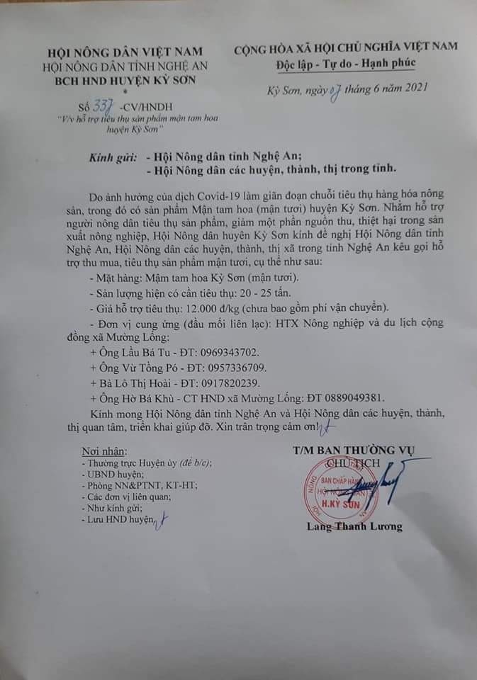 Văn bản của Hội Nông dân huyện Kỳ Sơn (Nghệ An) nhờ hỗ trợ mua mận tam hoa. Ảnh: Minh Nguyệt