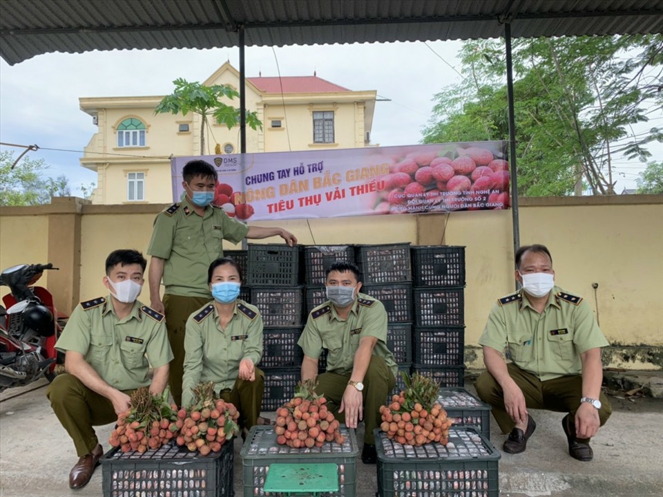 Đến nay, lực lượng QLTT Nghệ An đã hỗ trợ tiêu thụ 40 tấn vải thiều đặc sản Bắc Giang. Ảnh: HĐ