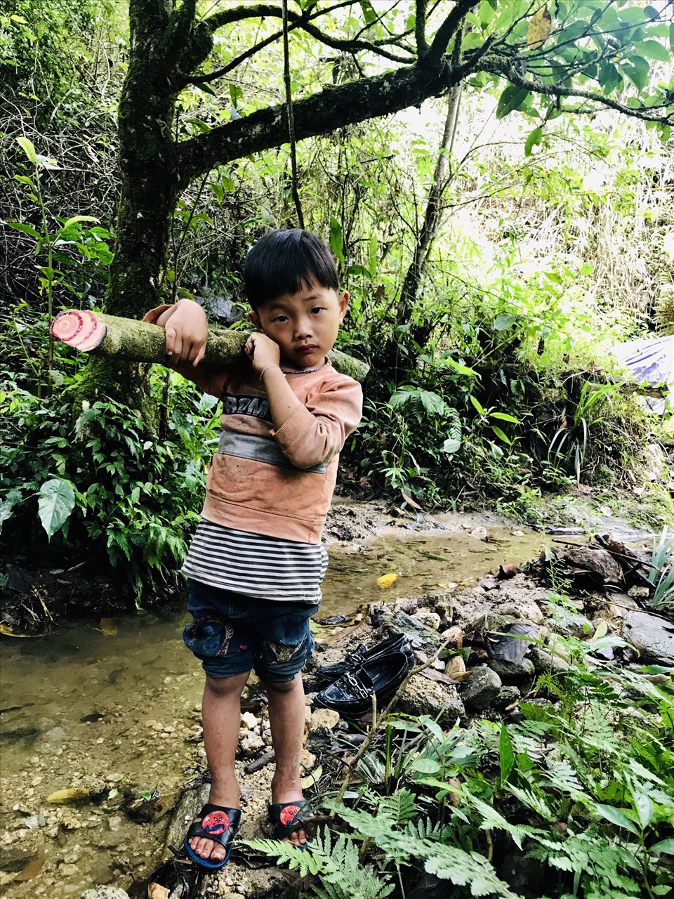 Đây là nơi định cư lâu đời của người dân thuộc 12 dân tộc, trong đó người Nùng, Dao, Tày, Mông, La Chí chiếm đa số.