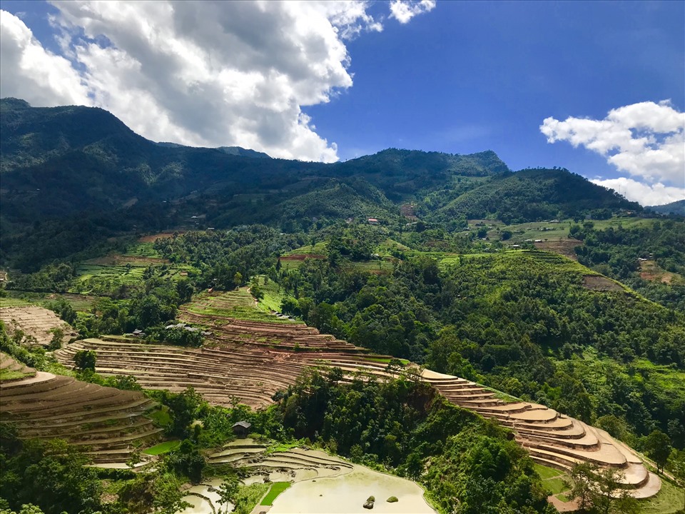 Người dân vùng cao chọn hình thức canh tác chính là trên đất dốc - tạo hình ruộng bậc thang để thuận lợi cho việc tưới tiêu và chăm bón.