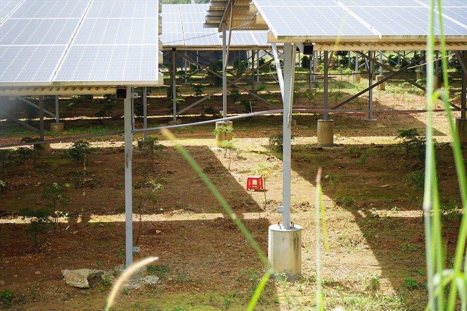 Nhiều lổ hổng quản lý dự án năng lượng mặt trời ở Khánh Hòa. Ảnh: Thu Cúc