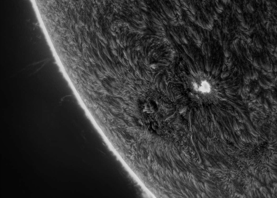 Vết đen Mặt trời ở sắc quyển (chromosphere) của Mặt trời. Ảnh: Đài quan sát Hoàng gia Greenwich