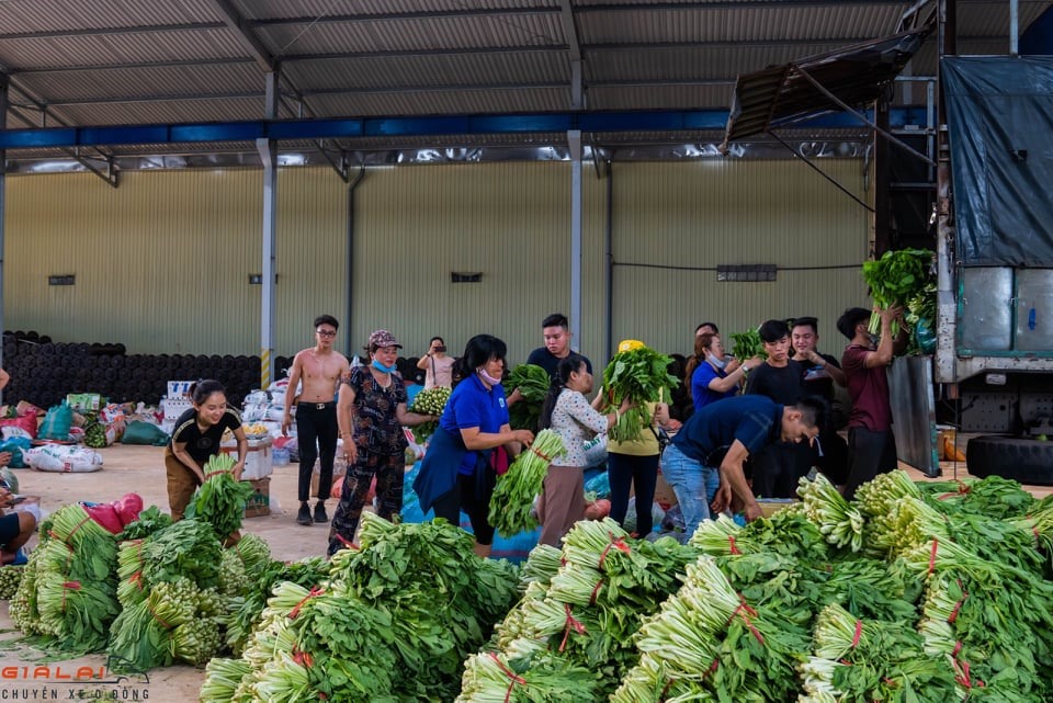 Các điểm nhận hàng rau củ hoạt động liên tục cho đến tối mịt. Ảnh T.T