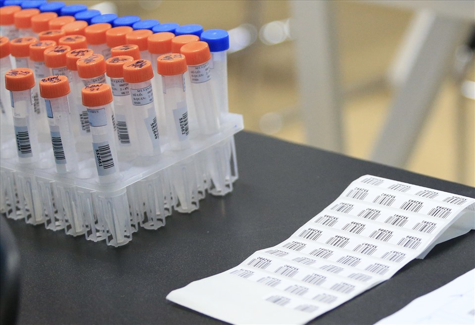 Xét nghiệm RT-PCR là công việc thường lệ trước mỗi đợt tập huấn của các đội tuyển quốc gia nhằm đảm bảo sự an toàn tuyệt đối cho các cầu thủ trong quá trình luyện tập. Tuyển nữ Việt Nam sẽ được lấy mẫu xét nghiệm định kì theo kế hoạch. Ảnh: Hoài Thu
