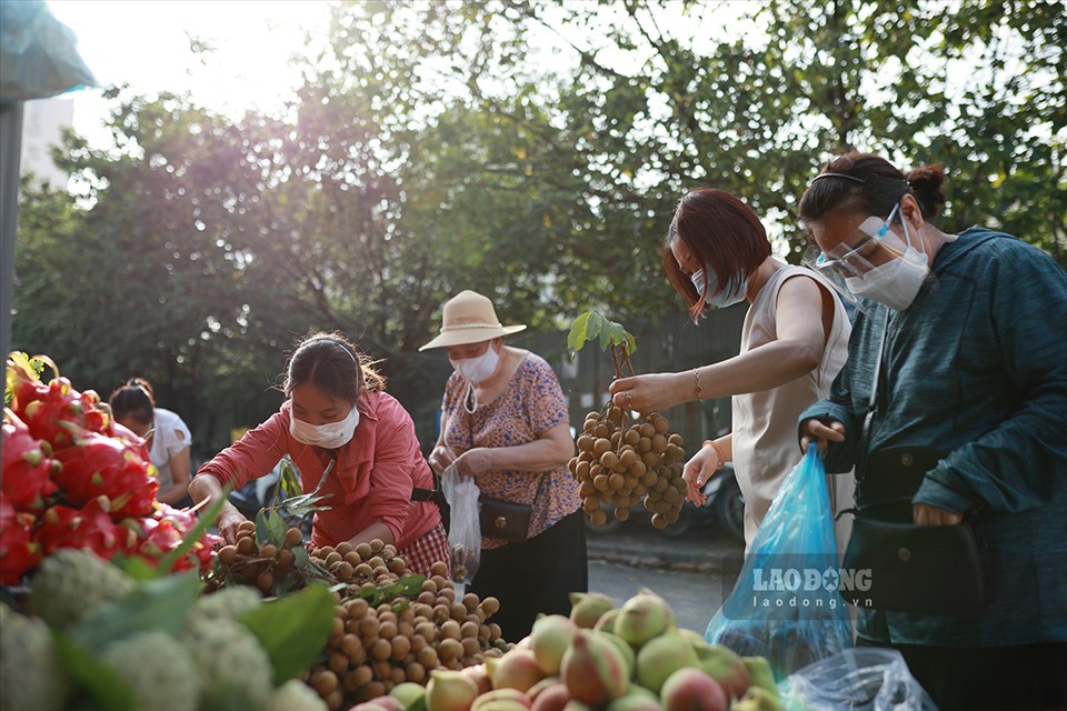 Tại chợ dân sinh Nam Trung Yên (Cầu Giấy), lượng khách đông hơn ngày thường do hôm nay là ngày rằm tháng 6.