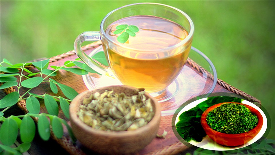 Hình ảnh minh họa trà chùm ngây tốt cho sức khỏe . Đồ họa: Nguyễn Quyền