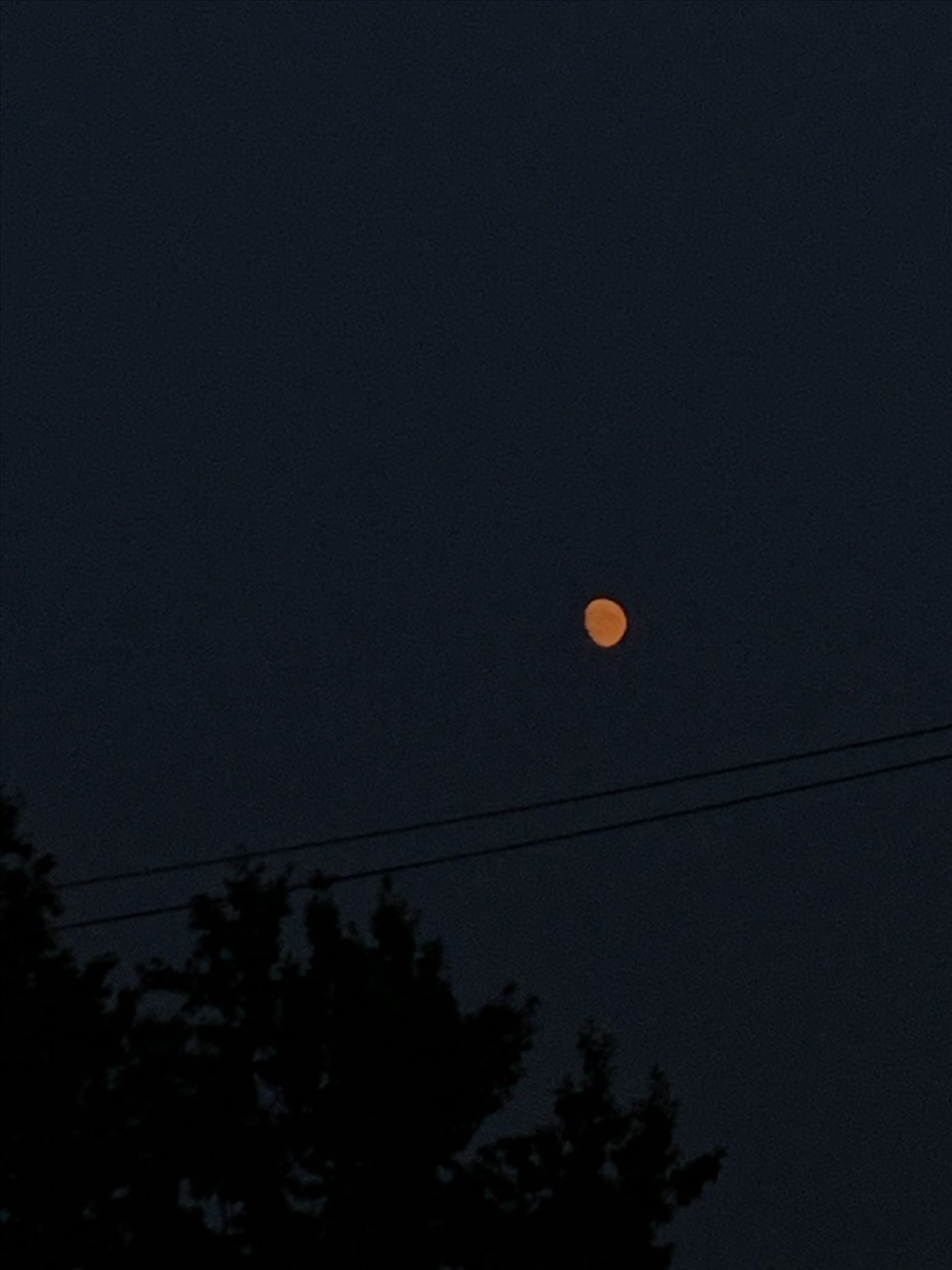 Mặt trăng biến màu do cháy rừng. Ảnh: Twitter/Space