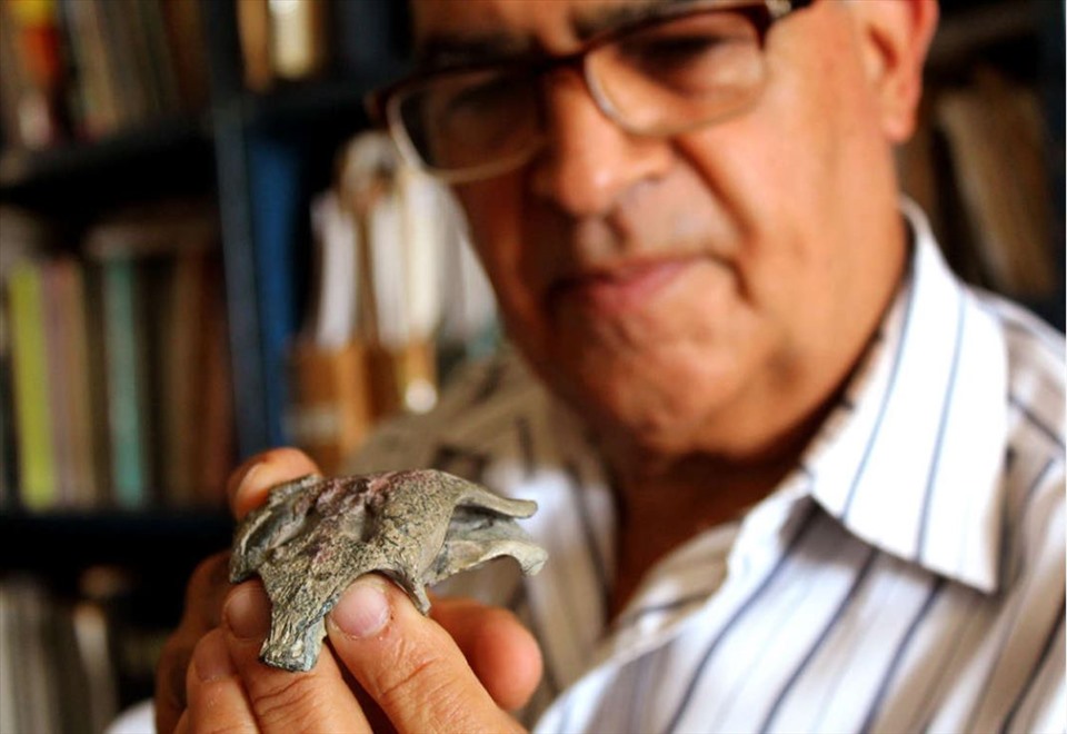 Một nhà cổ sinh vật học cầm trên tay hộp sọ hóa thạch của cá sấu tiền sử. Ảnh: MACN