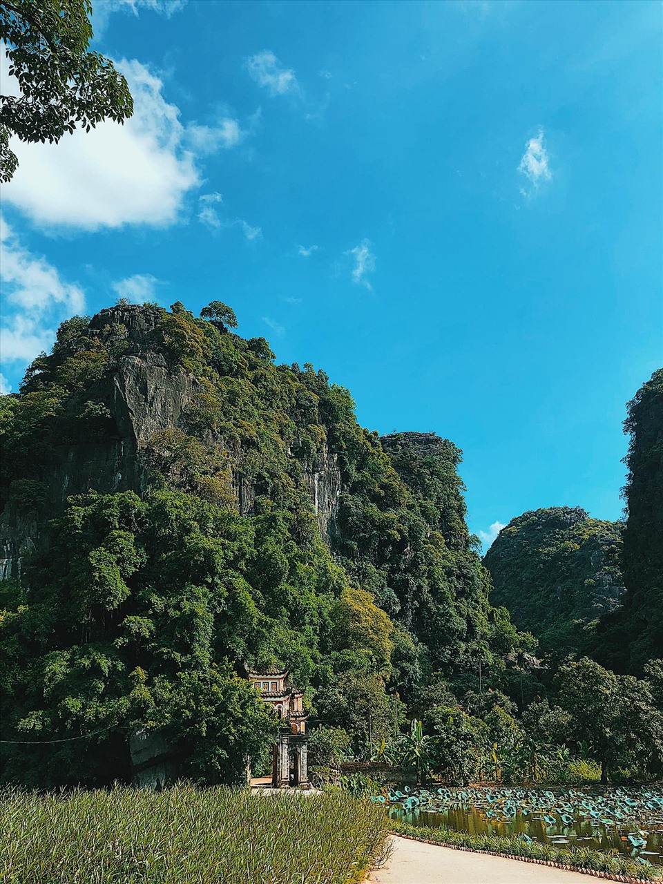 Ninh Bình hội tụ đầy đủ các yếu tố của một Việt Nam thu nhỏ, có rừng, núi, sông, biển với các khu bảo tồn thiên nhiên, vườn quốc gia, khu dự trữ sinh quyển thế giới, khu du lịch quốc gia. Nơi đây là một vùng đất đầy quyến rũ.