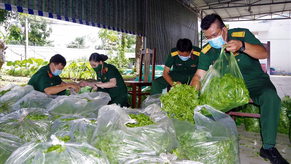 Bộ đội tỉnh phân từng loại rau phục vụ cho “Gian hàng 0 đồng“.