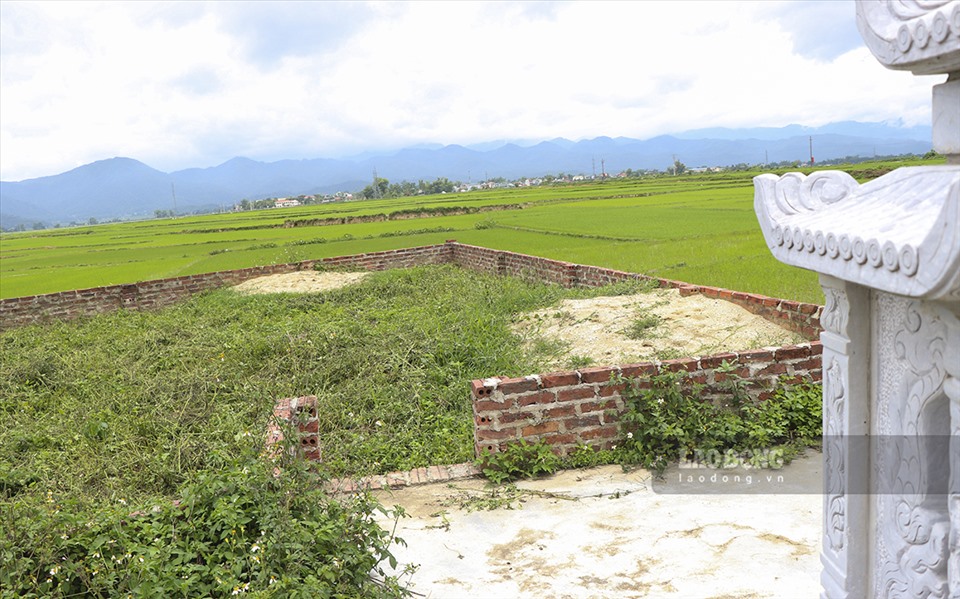 Một số diện tích trồng lúa cũng đã được quây lại bằng tường bao.