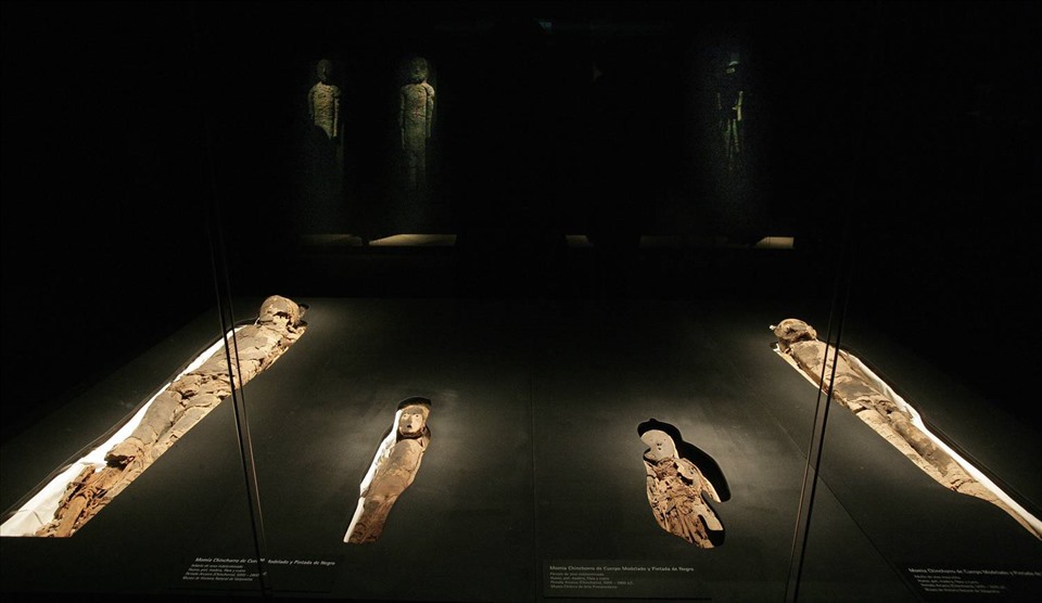 Xác ướp Chinchorro trong bảo tàng tại Santiago, Chile. Ảnh: AFP