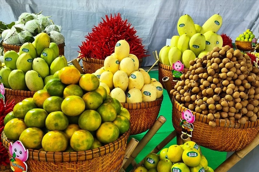 Có 9 loại trái cây của Việt Nam được xuất khẩu chính ngạch sang Trung Quốc. Ảnh: Vũ Long