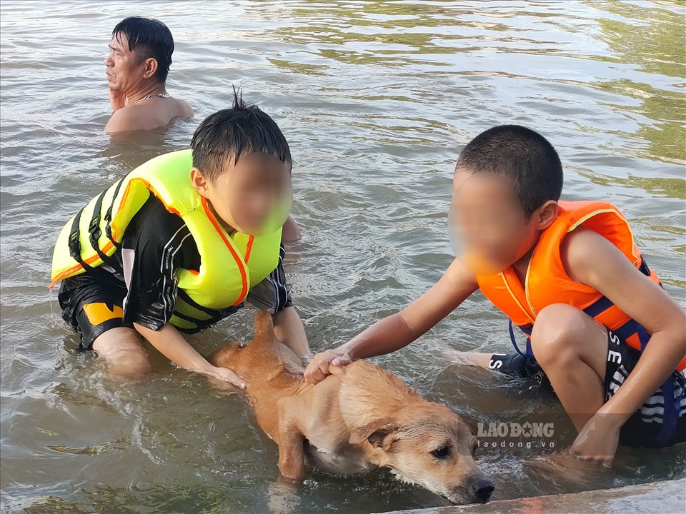 Trẻ em vận trên mình những chiếc áo phao, chơi đùa cùng những chú thú cưng trên sông.