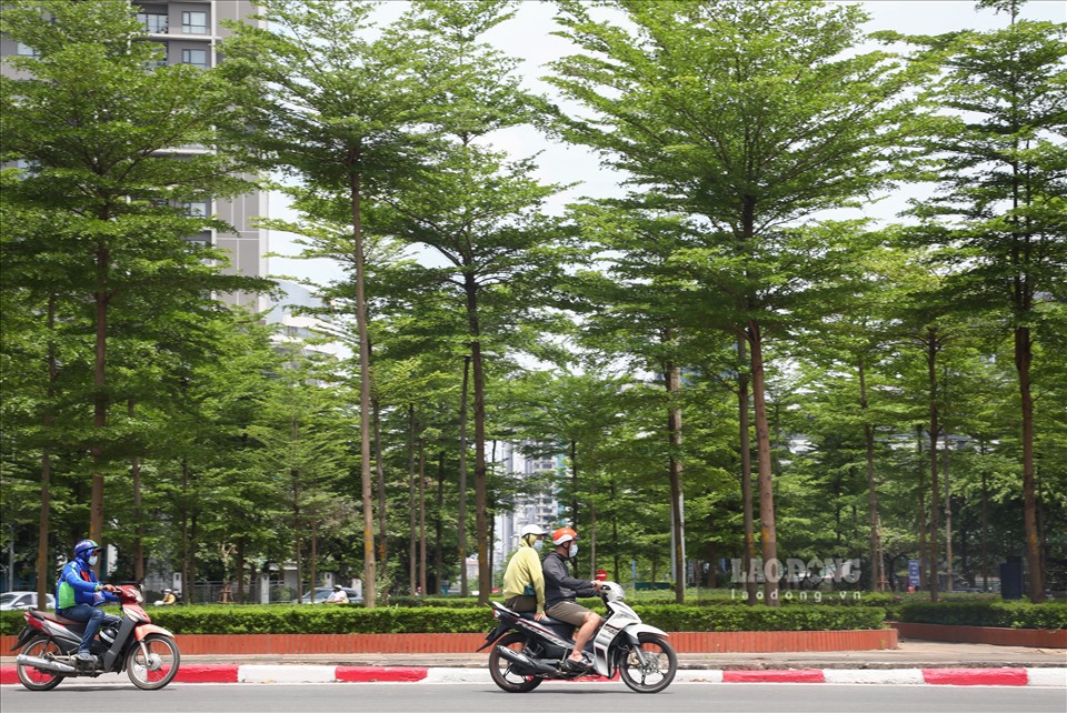 Đường phố Hà Nội sau 5 năm thực hiện dự án trồng 1 triệu cây xanh