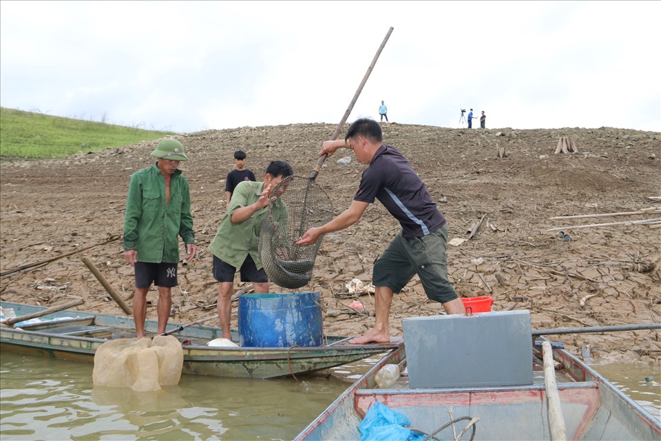 Nhiều hộ dân đã bắt cá bán để tránh tình trạng cá mất trắng như những gia đình khác để thu hồi lại chút vốn.