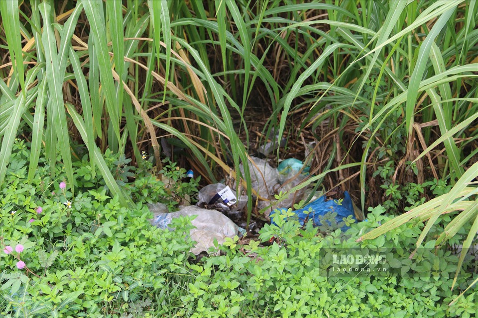 Người dân không có điểm tập kết rác nên đã vứt rác ra dọc các tuyến đường quanh thị trấn khiến cho môi trường sống bị ô nhiễm nghiêm trọng.