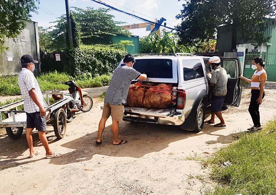 Nhiều thầy cô tự nguyện góp hàng trăm kg củ, quả trong vườn của gia đình, người thân, lựa nhặt bỏ những quả hư rửa sạch…