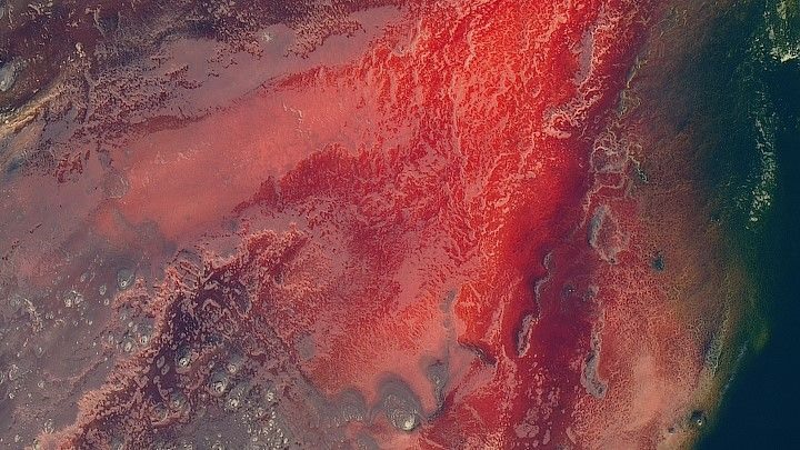 Hồ Natron màu đỏ như máu ở Tanzania được vệ tinh Landsat 8 chụp đầu năm 2017. Hồ Natron là một hồ kiềm. Màu sắc ấn tượng trong bức ảnh này có liên quan tới hỗn hợp nóng chảy của muối natri cacbonat và canxi cacbonat từ những núi lửa gần đó đi vào nước hồ thông qua các suối nước nóng. Với nhiệt độ trung bình 40 độ C và lượng mưa ít hơn 500mm mỗi năm, đây là một trong những môi trường khắc nghiệt nhất trên Trái đất, theo Đài quan sát Trái đất. Ảnh: NASA