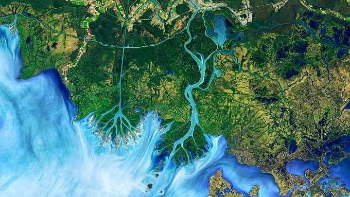 Đồng bằng Atchafalaya ở Louisiana, Mỹ, được vệ tinh Landsat 8 chụp ngày 1.12.2016. Bức ảnh này đã được can thiệp màu để “nhấn mạnh sự khác biệt giữa đất và nước, đồng thời cho phép người xem để quan sát trầm tích trong nước“, theo Đài quan sát Trái đất. Đây là một trong số 10.000 hình ảnh vệ tinh Landsat chụp khu vực này từ năm 1982 đến năm 2016. Ảnh: NASA